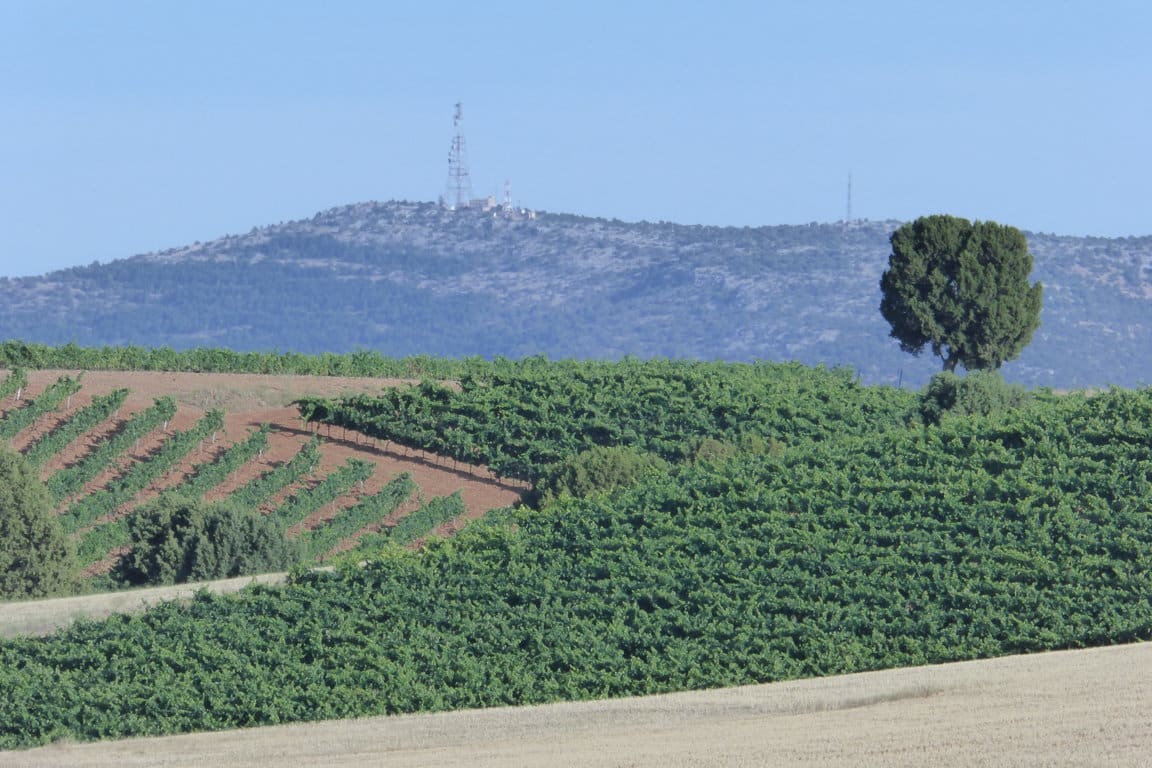 COP 22. Por qué nuestras tierras valen más que su carbono