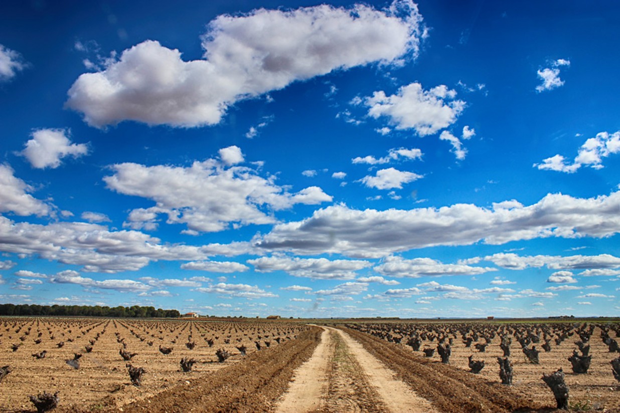 Expertos de la Universidad de Wageningen recomiendan una buena gestión del suelo frente al cambio climático