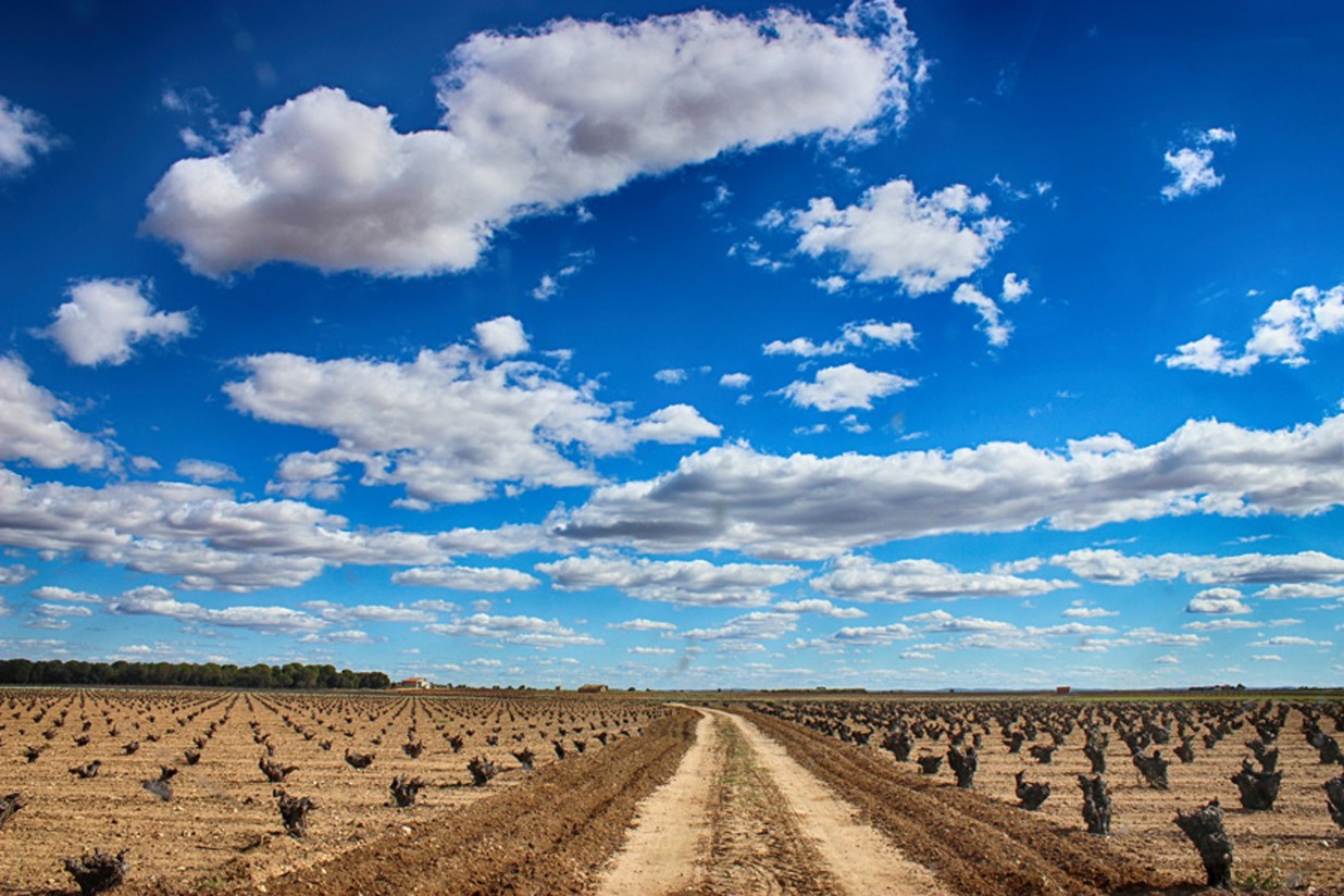 Tres modelos para la agricultura española