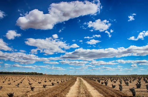 Expertos de la Universidad de Wageningen recomiendan una buena gestión del suelo frente al cambio climático