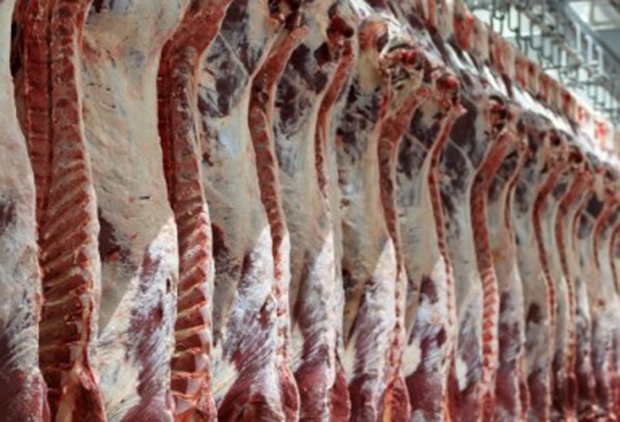 El Mercado en Origen Nacional de Vacuno de Carne incorpora cuatro nuevos operadores
