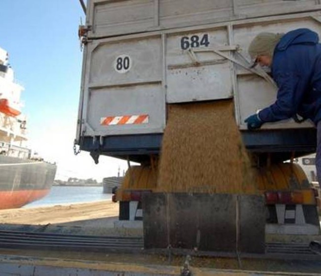 El CIC renueva los niveles récord de producción, consumo y stocks mundiales de cereales