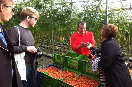 Expertos comunitarios presentan sus recomendaciones para regular la cadena alimentaria
