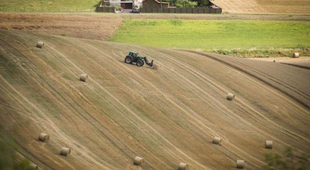 El CdR demanda más protección contra la excesiva volatilidad de los precios agrícolas