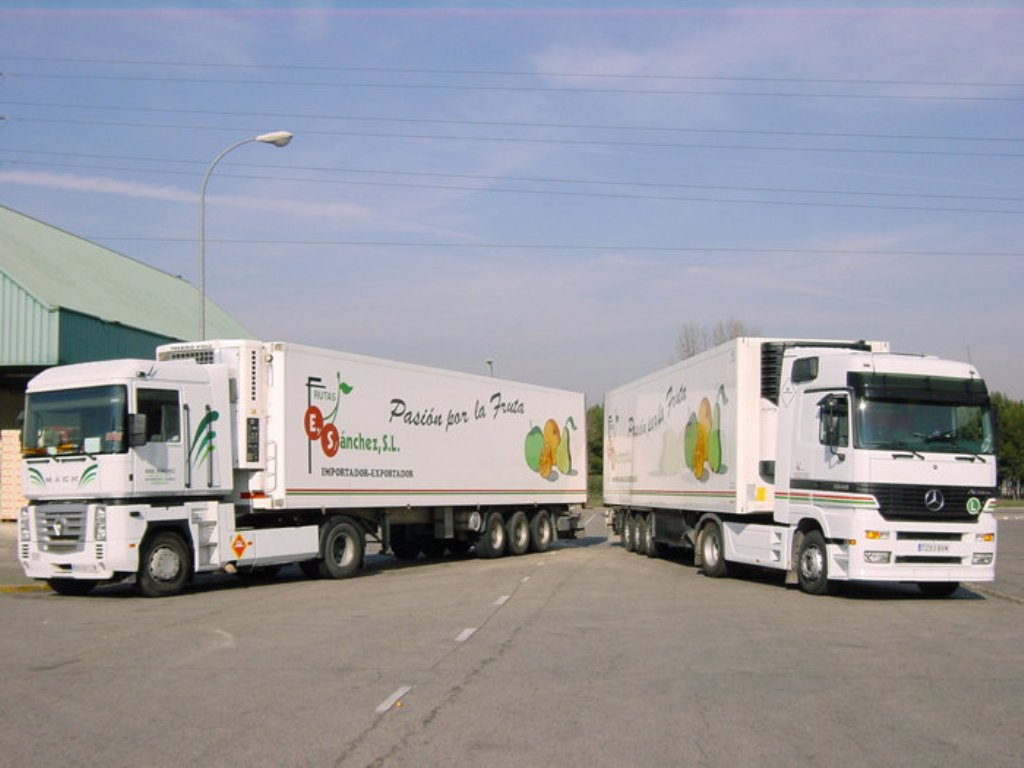 Fuerte  aumento de las importaciones de frutas y hortalizas hacia el mercado español hasta octubre