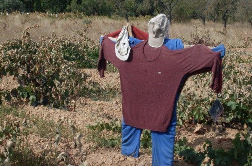 Una encuesta del COPA-Cogeca y Eurostat confirman la difícil situación de los agricultores de la UE en 2016