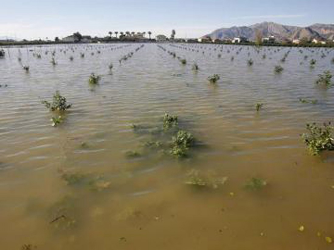 Unicaja amplía su línea de financiación para los afectados por los daños provocados por las inundaciones