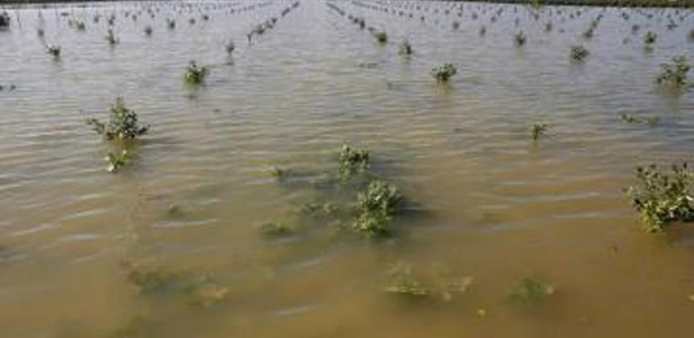 inundaciones