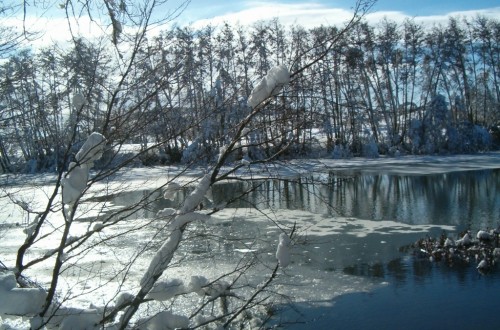 Bruselas finaliza los pagos de 64 de los 92 PDRs de la UE del periodo 2007-2013