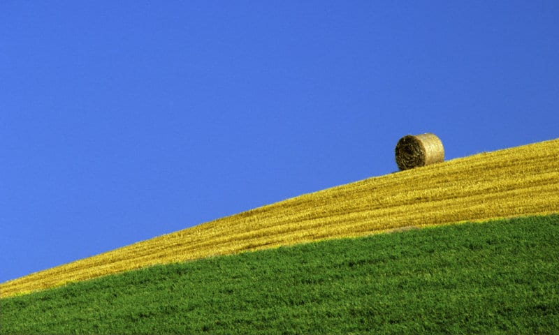 Termina 2016, un año récord para la agricultura española. Por Jaime Lamo de Espinosa