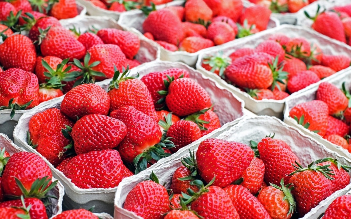 NSG consolida su posición en variedades de fresas con 58 millones de plantas en Huelva para la campaña 2025