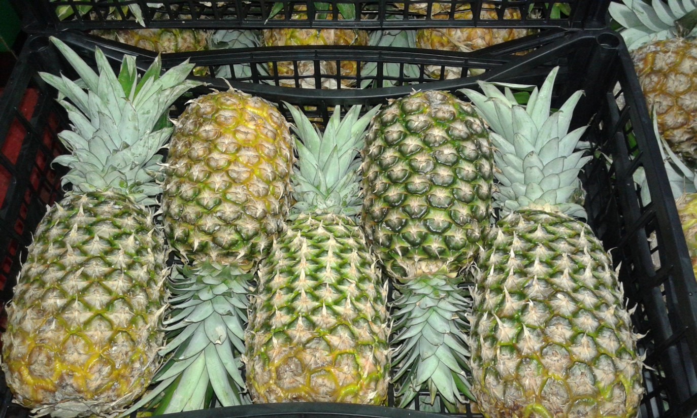 Canarias intensifica las inspecciones para controlar la entrada ilegal de frutas y hortalizas