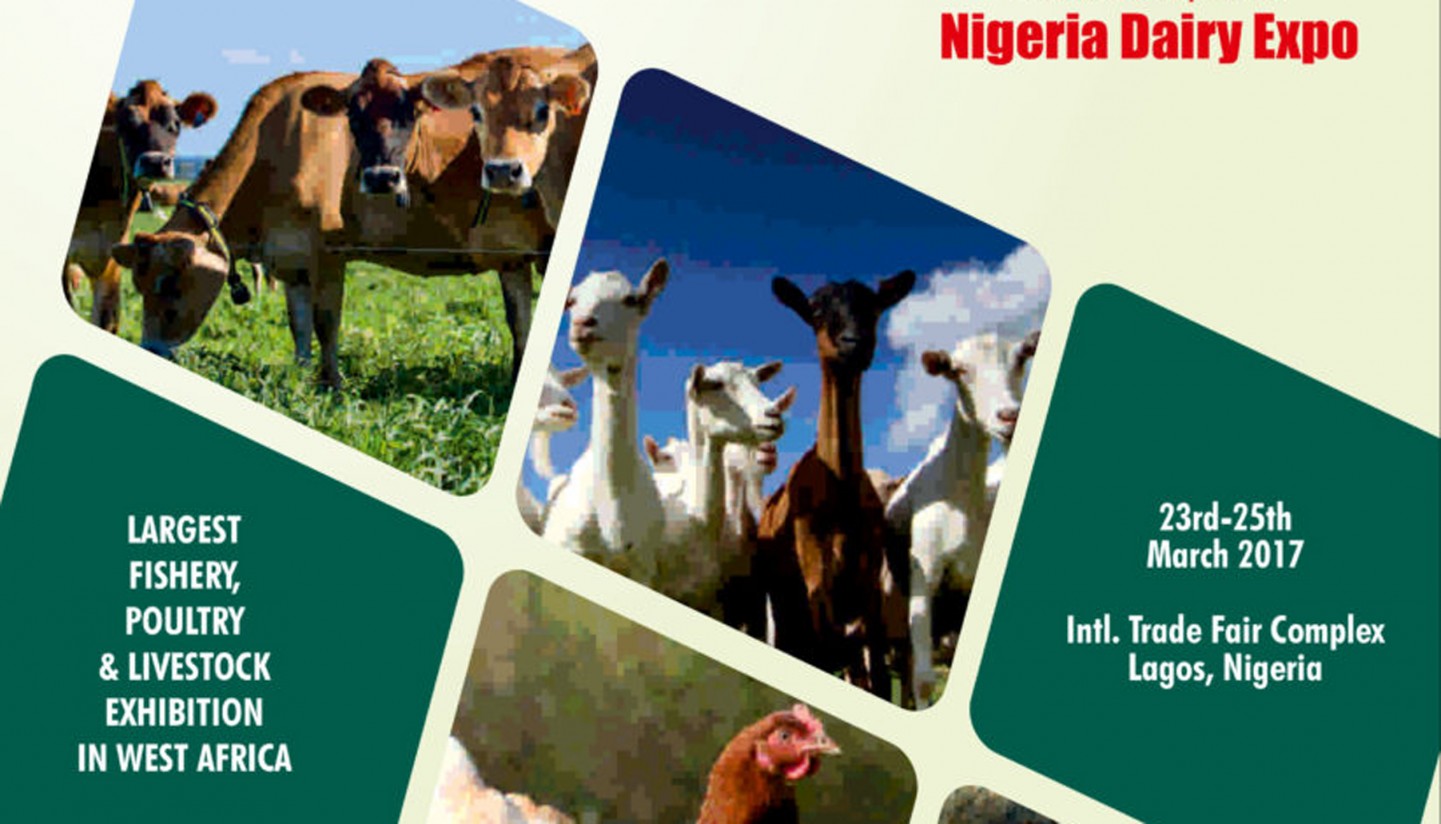 Nipoli Expo 2017: encuentro avícola y ganadero en Nigeria