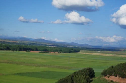 Consulta pública de 30 preguntas para opinar sobre la PAC futura hasta el 26 de abril