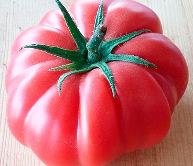 Semillas Fitó realizará degustaciones de tomate Monterosa en Fruit Logistica