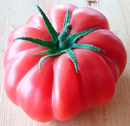 Semillas Fitó realizará degustaciones de tomate Monterosa en Fruit Logistica