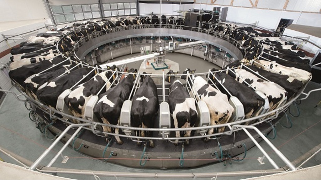 Campaña de COAG para evitar la puesta en marcha de la macro-granja de vacuno de leche de Noviercas
