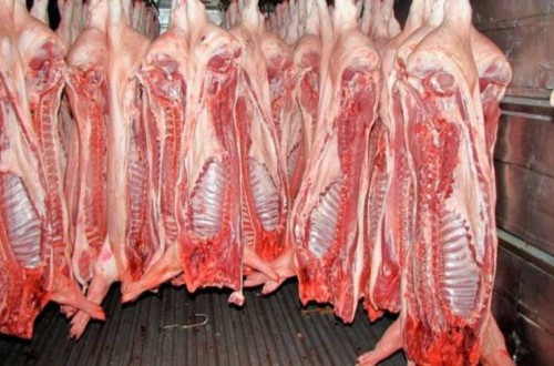 La OMC confirma que la prohibición de exportar carne de cerdo de la UE a Rusia es ilegal