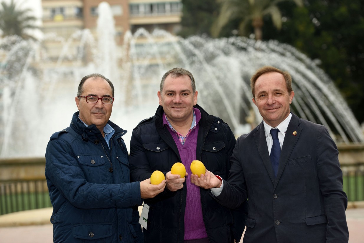Ingenieros agrónomos e ingenieros técnicos agrícolas murcianos se unen a la promoción del limón
