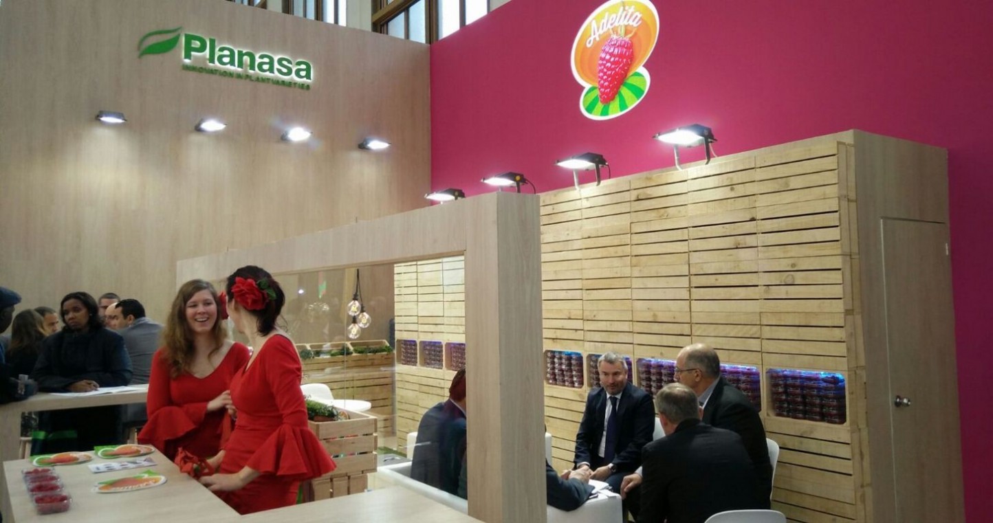 Planasa, presente en Fruit Logistica con un stand dedicado a la frambuesa Adelita