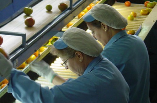 613 interceptaciones de frutas y hortalizas importadas con plagas o enfermedades en la UE en 2023
