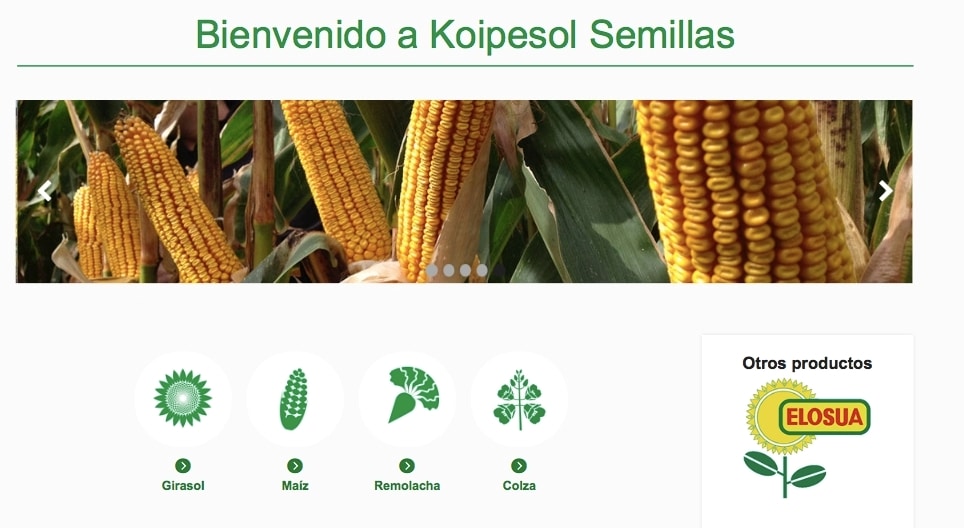 Nueva web de Koipesol Semillas