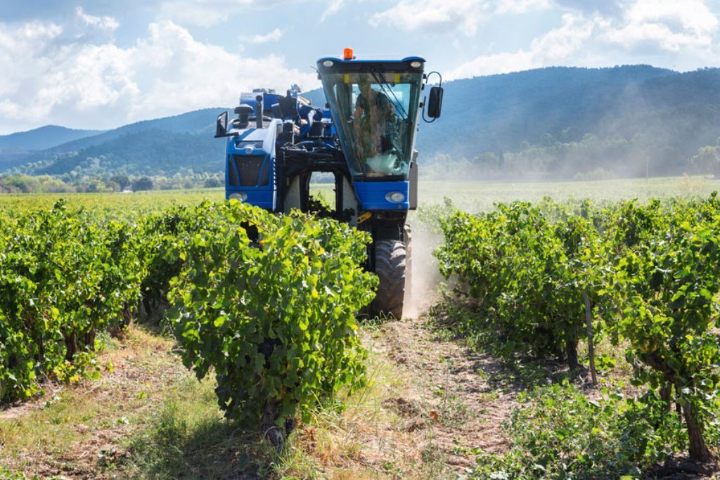 El sector vitícola recibió 2.098 M€ para reestructurar 375.542 ha de cultivo entre 2001 y 2016