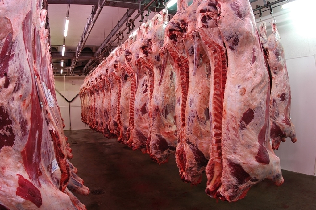 Chile abre su mercado a las exportaciones de carne bovina de la Unión Europea