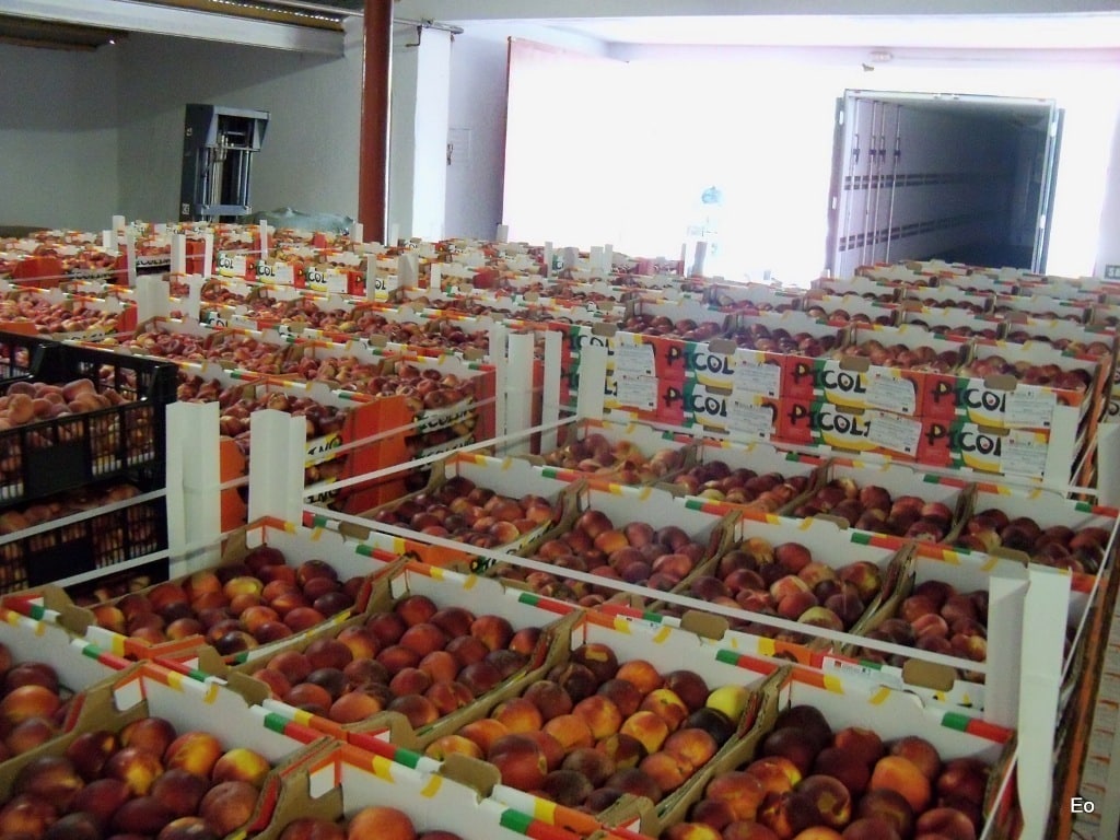 Bruselas aprueba la nueva normativa sobre las OP de frutas y hortalizas en la Unión Europea