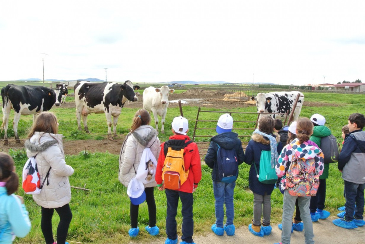 Escolares extremeños serán ganaderos por un día con un proyecto impulsado por Cooperativas Agro-alimentarias