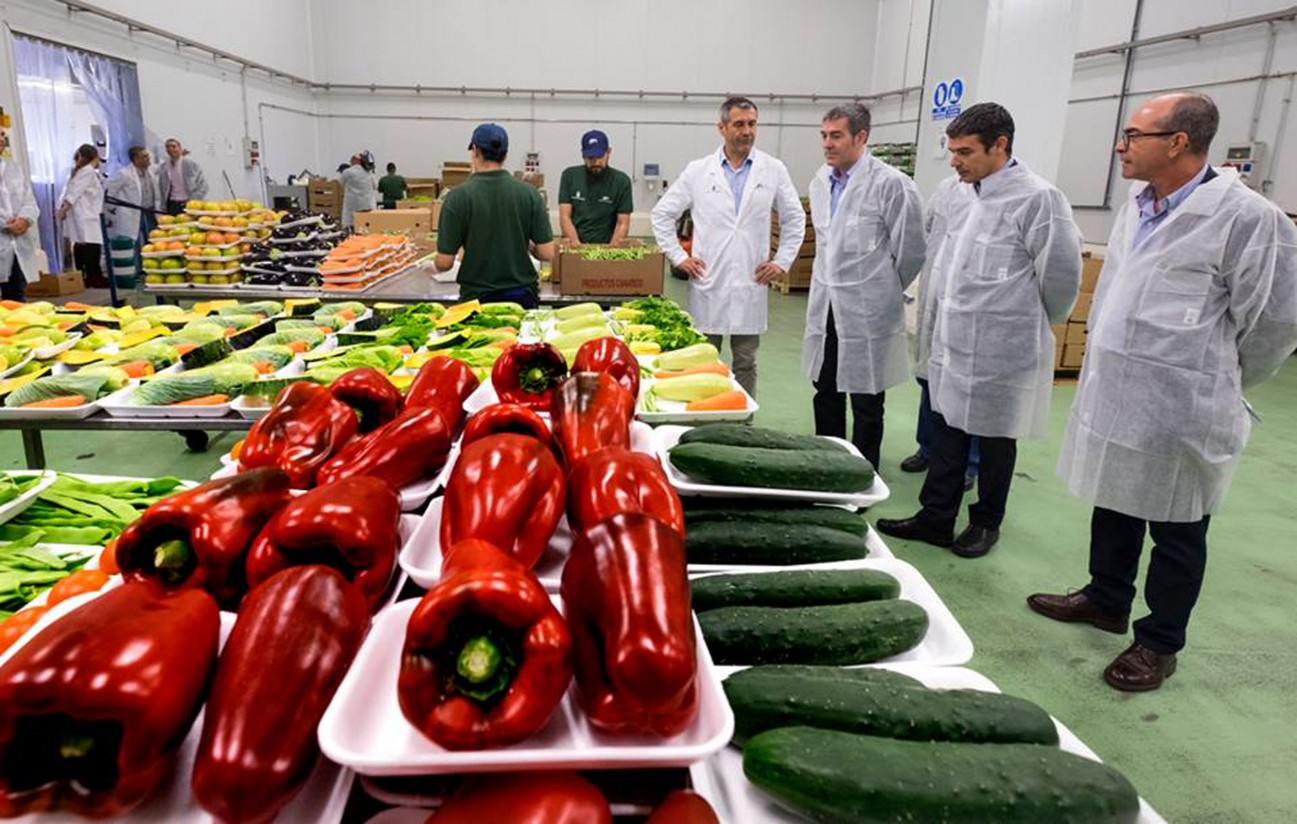 Crece la comercialización interior y exterior de frutas y hortalizas del Archipiélago canario