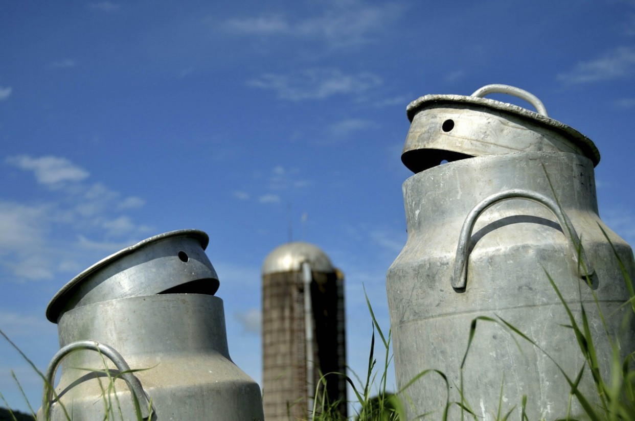 Agricultura y Aecosan preparan una normativa para regular la venta directa de leche y carne