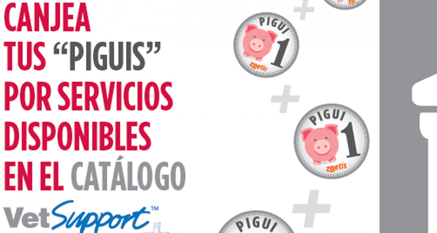 Zoetis lanza el nuevo VetSupport+: servicios personalizados a medida para el sector porcino