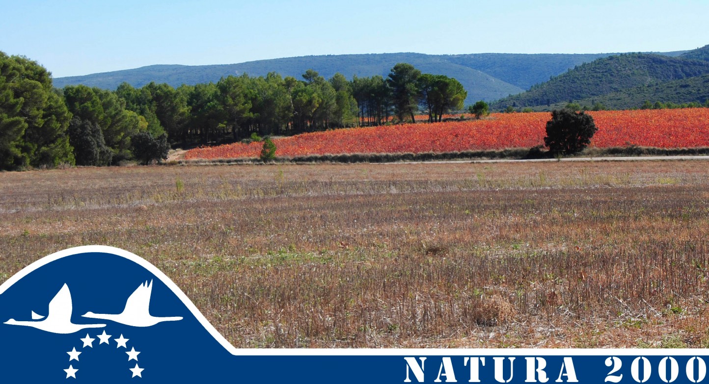 Más de 8 millones de españoles conocen la Red Natura 2000