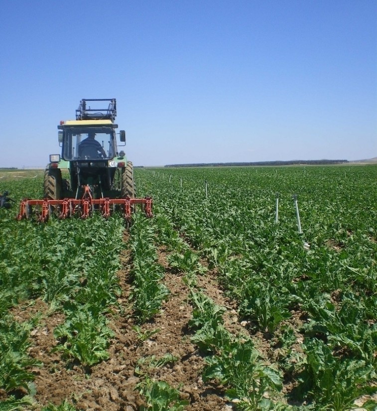 Castilla y León convoca ayudas por 40 M€ a medidas de Agroambiente y Clima y Agricultura ecológica