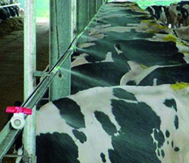 Bioseguridad ambiental en vacuno de leche