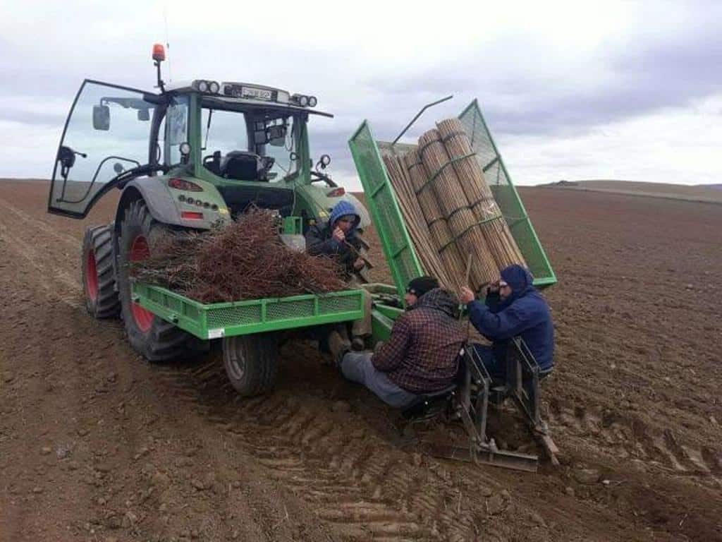 Alerta sobre empresas de servicios agronómicos que estafan a la SS y a  agricultores en Castilla y León
