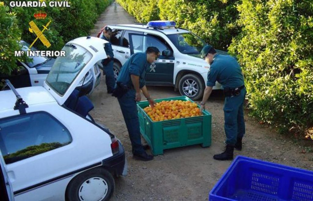 El Senado insta al Gobierno a adoptar medidas urgentes para frenar los robos en el campo