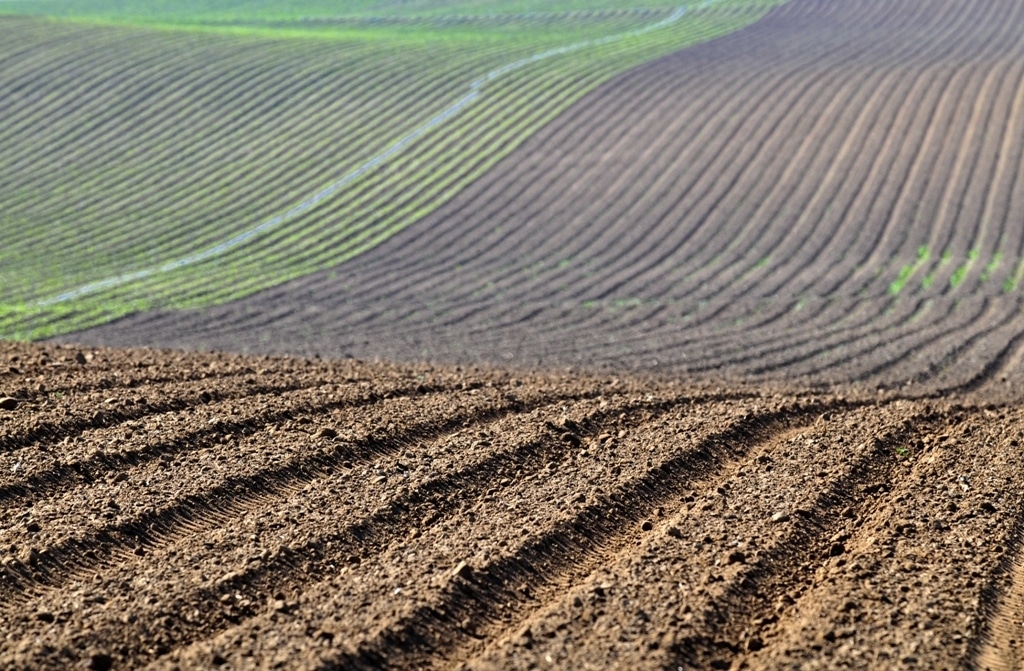 El COPA-Cogeca aboga por una futura PAC más sostenible y moderna que afronte  los retos del sector agrario de la UE