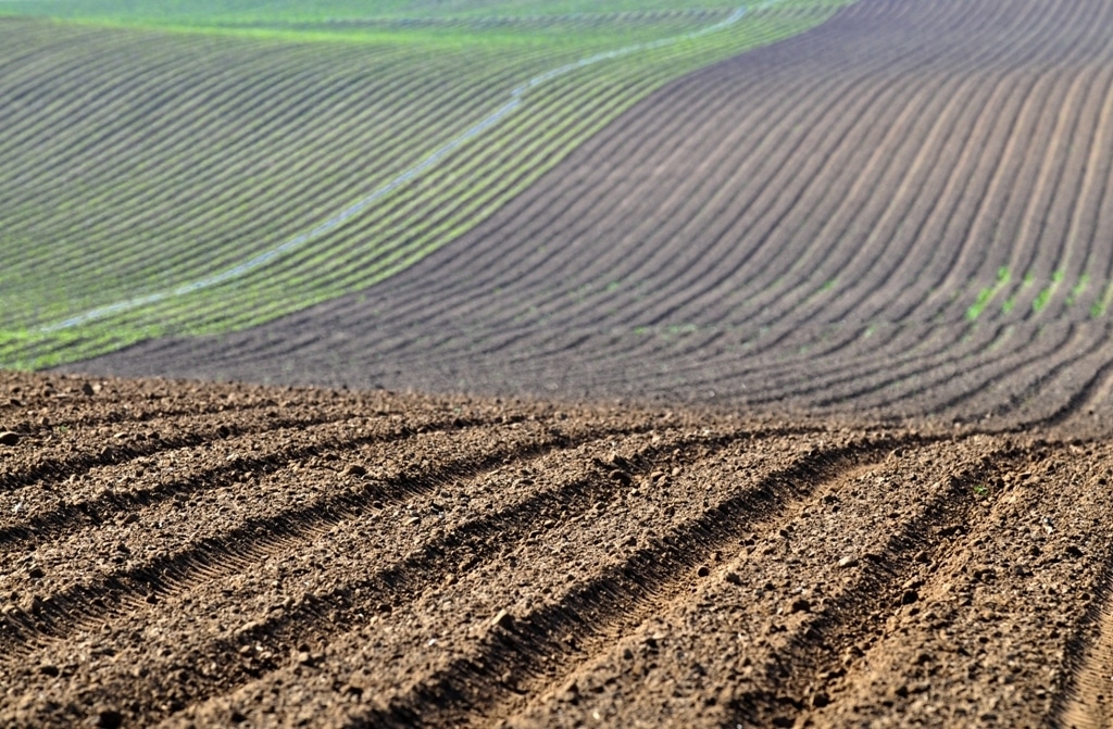 El COPA-Cogeca aboga por una futura PAC más sostenible y moderna que afronte  los retos del sector agrario de la UE