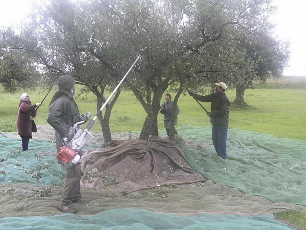 La finalización de campañas agrícolas hizo subir el paro agrario en 1.381 personas