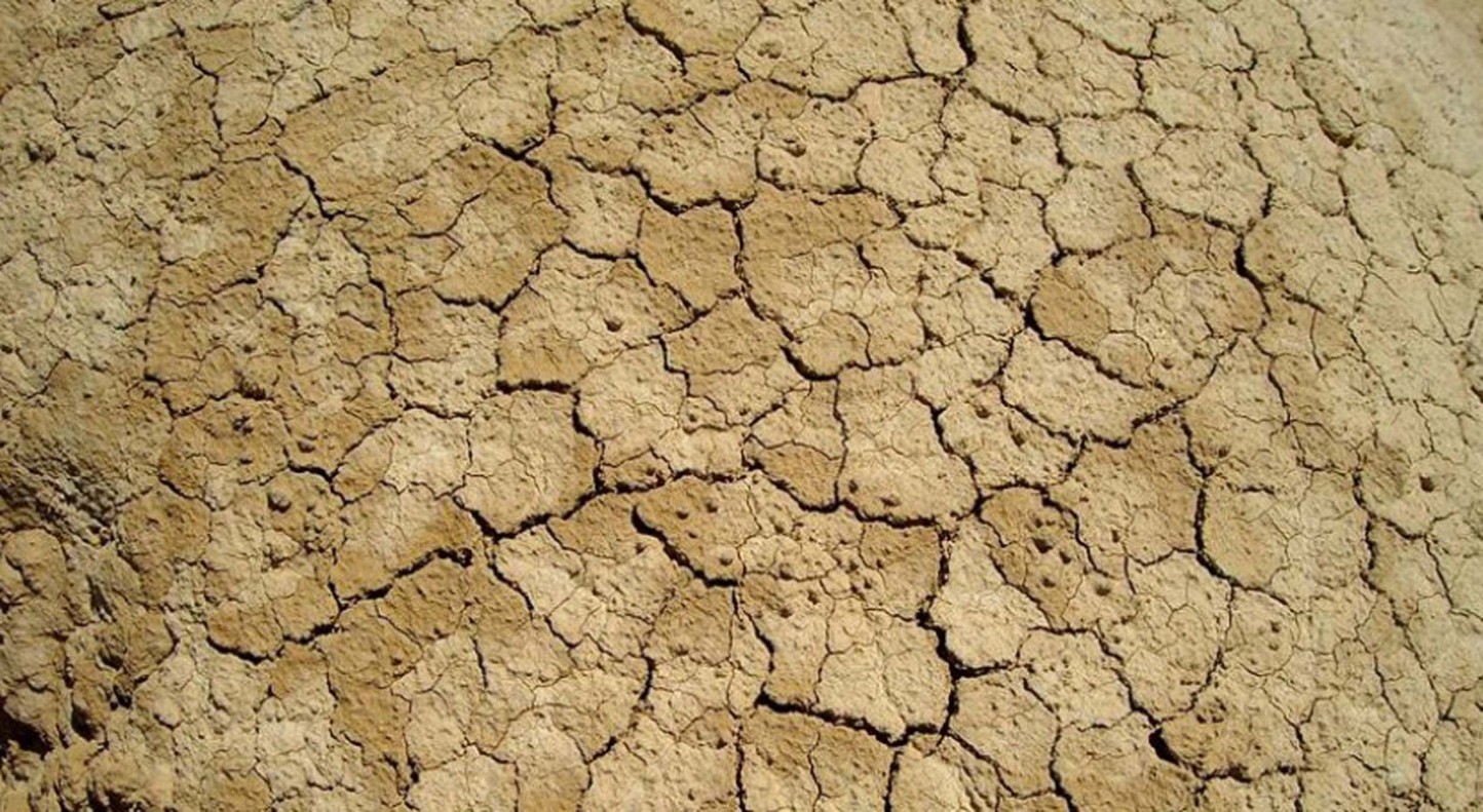 La sequía pone en alerta al sector agrario español