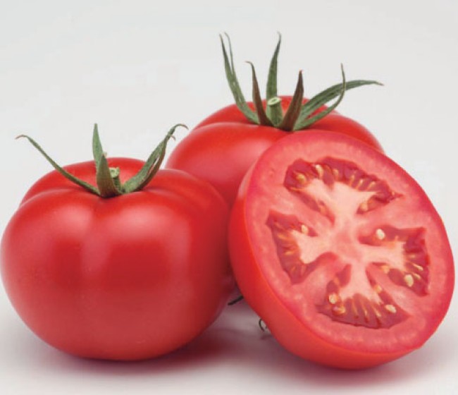 Bayer impulsa con Brutal F1 la producción en Murcia de tomate suelto con calibre