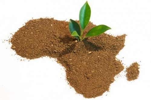 La agricultura ocupa un lugar destacado en el nuevo marco estratégico para las relaciones UE-África