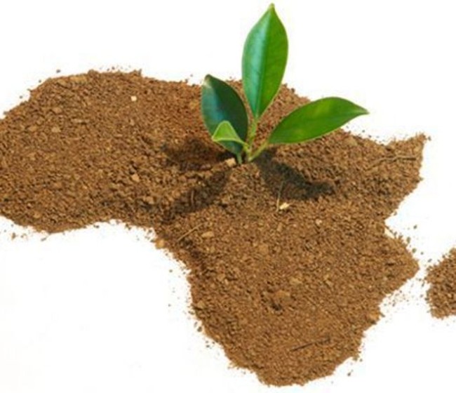 La agricultura ocupa un lugar destacado en el nuevo marco estratégico para las relaciones UE-África