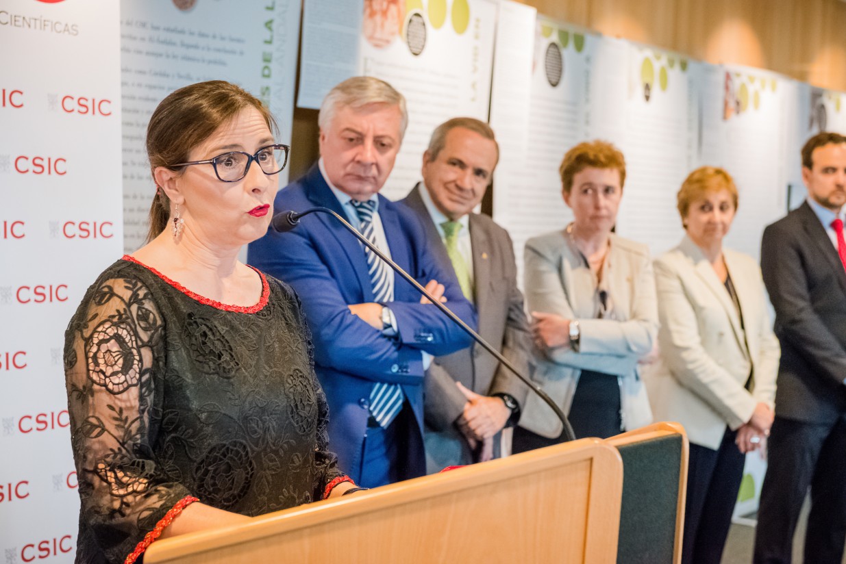 El CSIC inaugura su exposición sobre la vid y el vino en el Parlamento Europeo
