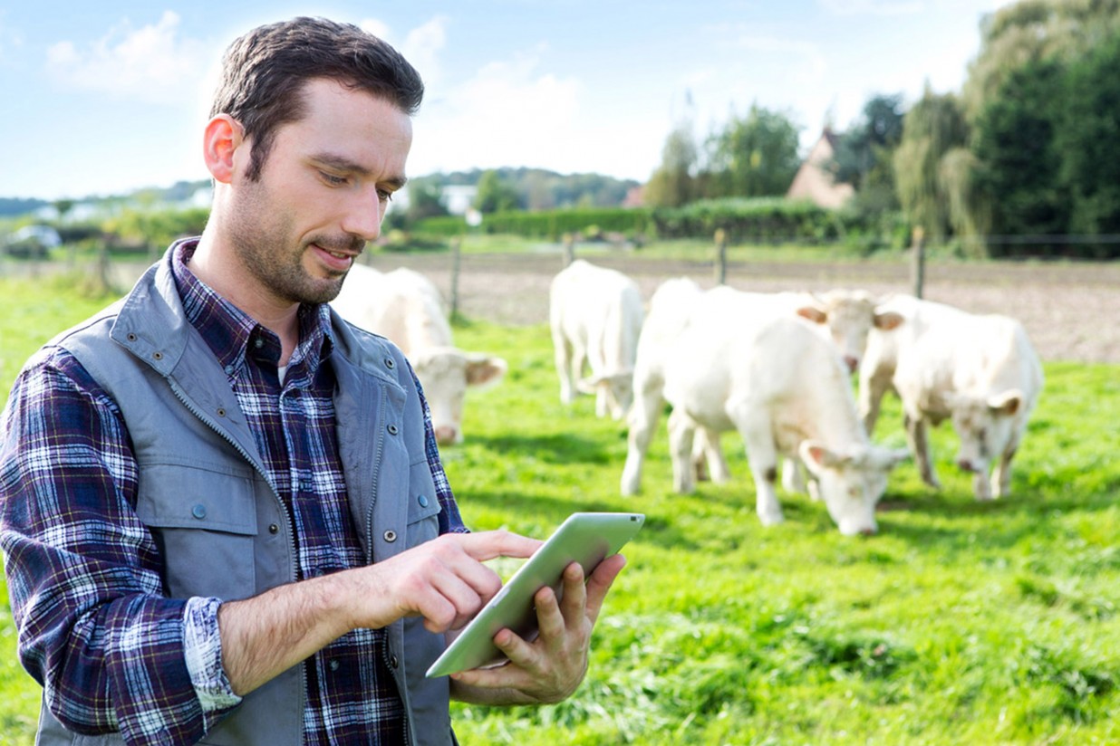 Mercatrace, startup de identificación del recorrido de los alimentos, consigue una financiación de casi 90.000€