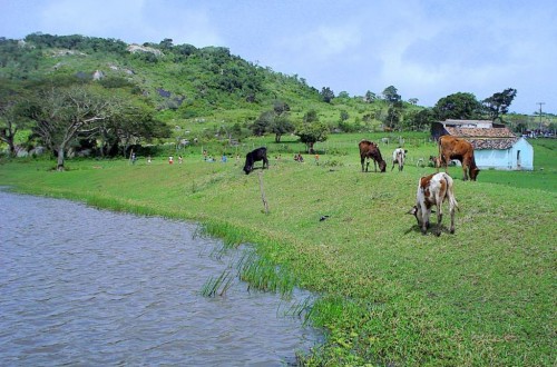 El COPA-Cogeca apuesta por aplicar la Declaración de Cork 2.0 para el futuro Desarrollo Rural de la UE