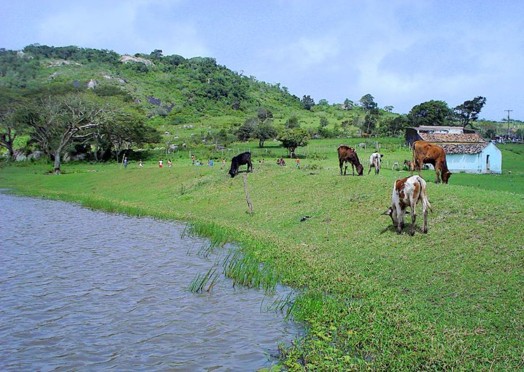 El COPA-Cogeca apuesta por aplicar la Declaración de Cork 2.0 para el futuro Desarrollo Rural de la UE