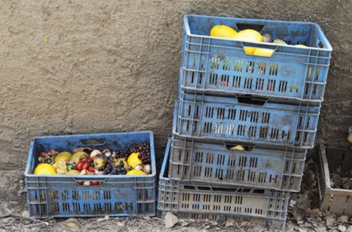 El PE  propone medidas para reducir las 88 Mt  de alimentos que la UE desperdicia cada año a la mitad